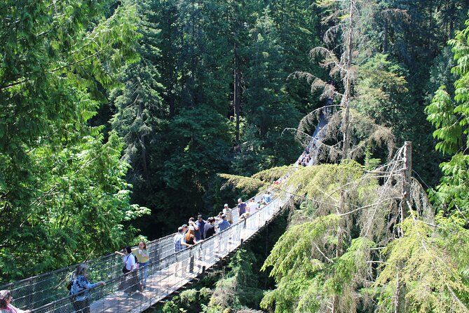 Grouse Mountain, Skyride Gondola & Capilano Bridge from Vancouver