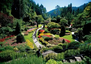 Victoria & Butchart Gardens Tour with Ferry from Vancouver