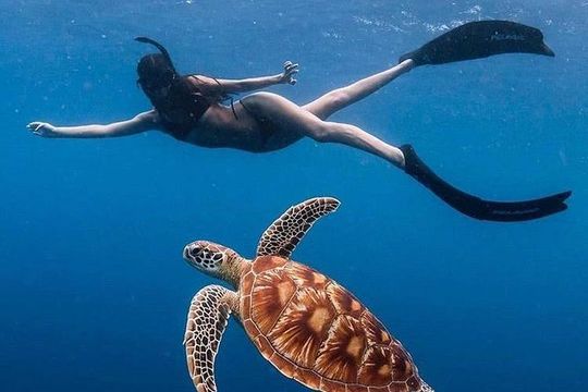 All Inclusive : Bali Blue Lagoon Snorkeling with Lunch &Transfers