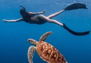 All Inclusive : Bali Blue Lagoon Snorkeling with Lunch &Transfers