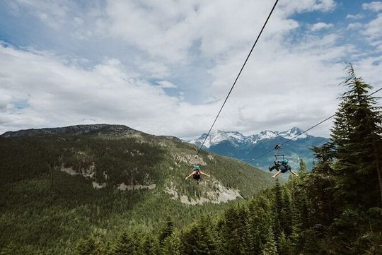 Superfly Ziplines on Cougar Mountain - Includes 4 Ziplines!