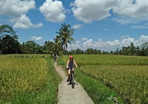 Ubud Eco Culture Cycling Exploration