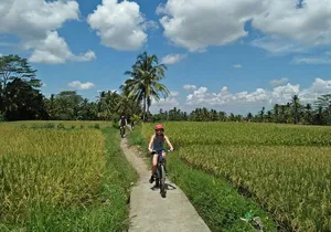 Ubud Eco Culture Cycling Exploration