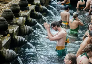 Ubud Small Group Tour: Monkey Forest, Tegalalang Rice Terraces and more