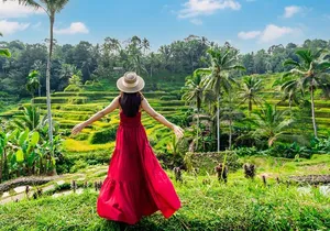 Best of Ubud Private Day Tour