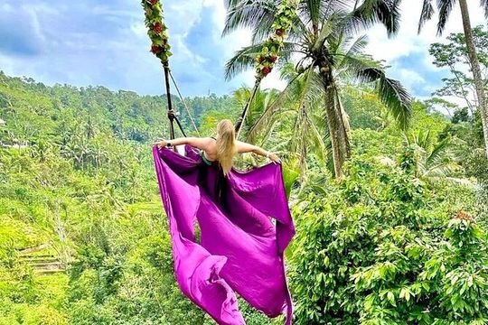 Magic Of Ubud Temple Swing And Waterfall Private Guided Tour