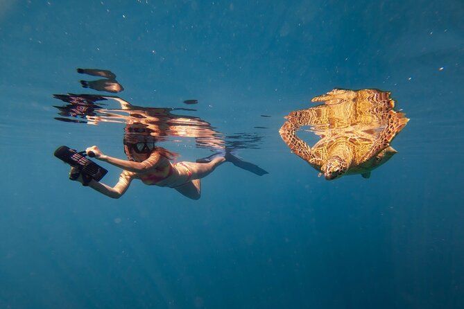 Ariki Adventures: Premium Sea Scooter Turtle Adventure