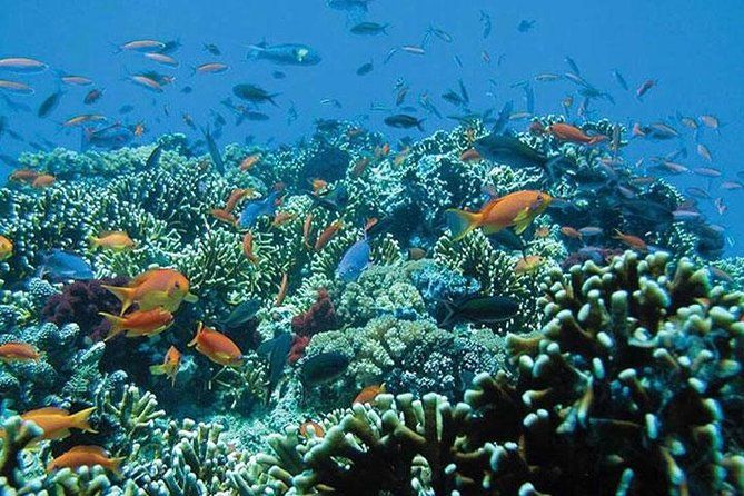 Bali Snorkeling Tour at Blue Lagoon Beach - All-Inclusive