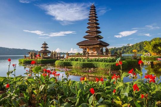 Full-Day Private North Bali Tour with Free WiFi