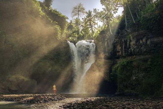 Ubud: Monkey Forest, Water Temple, Rice Terrace, Waterfall