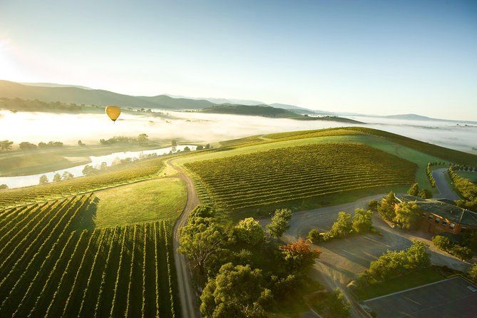 Yarra Valley Wine Day Tour