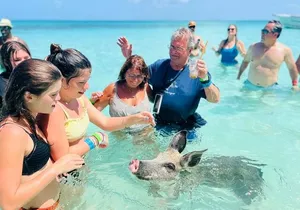 Exuma Day Away - Original Swimming Pigs Excursion