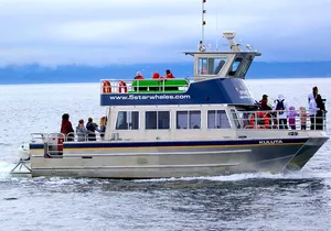 Victoria Whale Watching Cruise with Expert Naturalists
