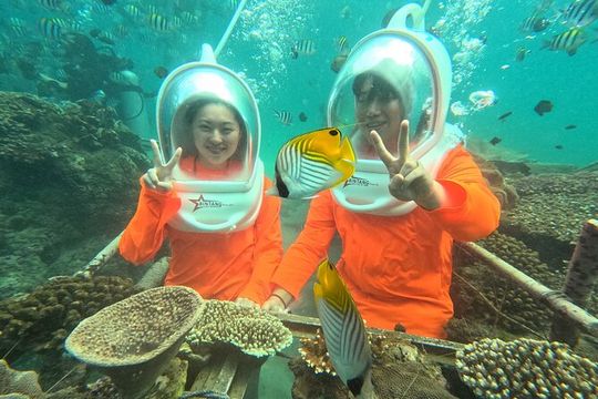 Bali Sea Walking Experience