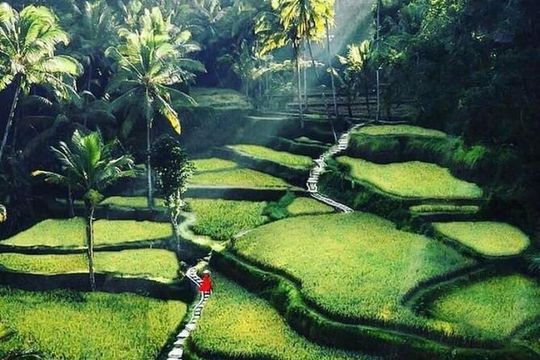 Private Customized Tour with Local Guide