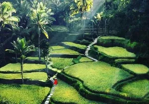 Private Customized Tour with Local Guide