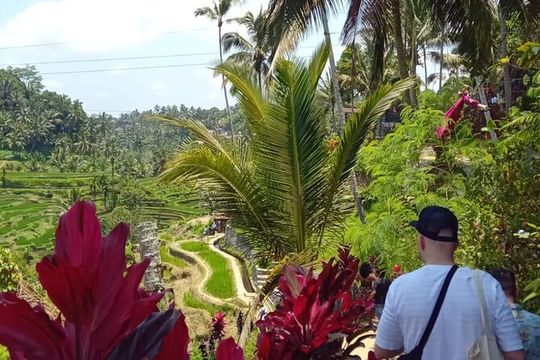 Wonderful of Ubud Private Guided Tour