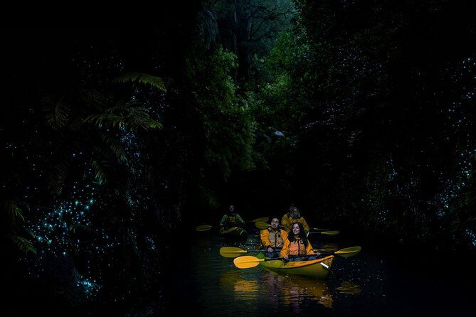 Twilight Glowworm Kayak Tour – Lake Karapiro