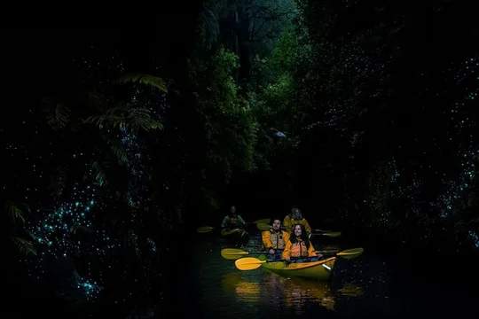Twilight Glowworm Kayak Tour – Lake Karapiro