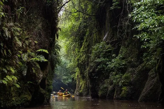 Twilight Glowworm Kayak Tour – Lake Karapiro