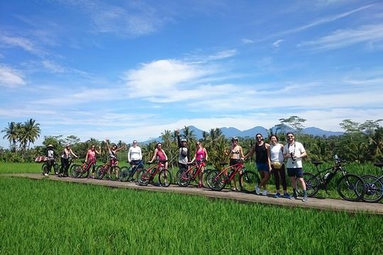 Half-Day Ubud Electric Cycling Tour to Tirta Empul Water Temple