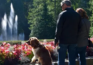 Victoria & Butchart Gardens Tour with Gulf Islands Cruise Ferry