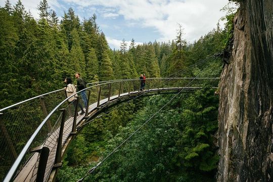 Capilano Suspension Bridge Park Ticket