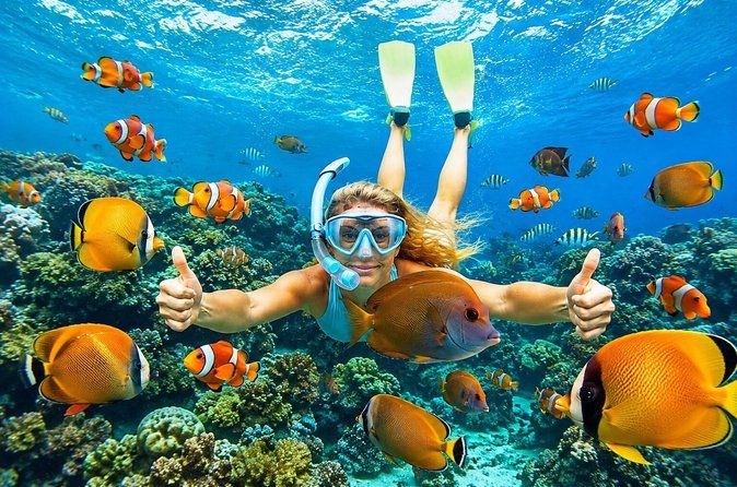 All Inclusive : Bali Blue Lagoon Snorkeling, Lunch, and Transport