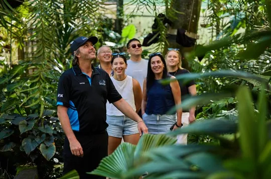 Cairns City Sights and Surrounds Tour