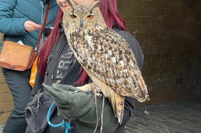 JK Rowling's Harry Potter Walking Tour in Edinburgh