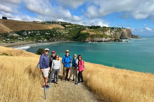 Full-Day Godley Head Coastal Hike with Picnic Lunch