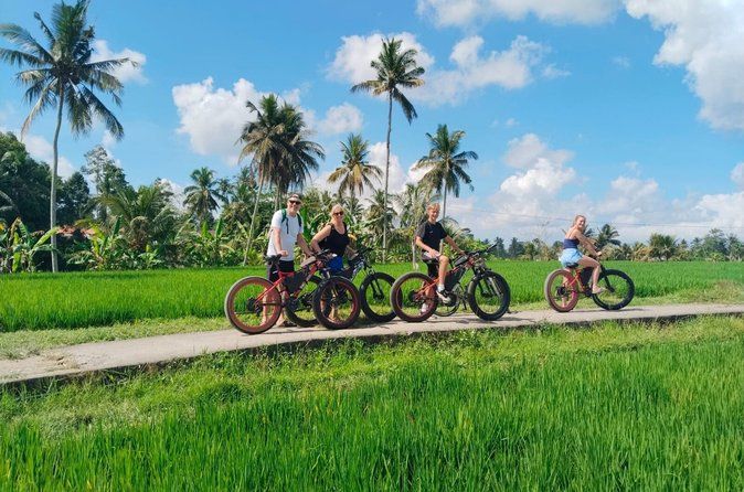 Electric Bike Tour in Ubud