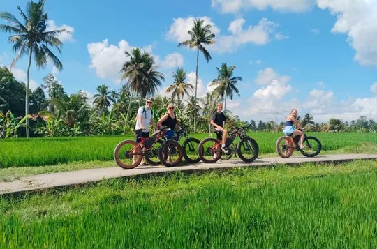 Electric Bike Tour in Ubud