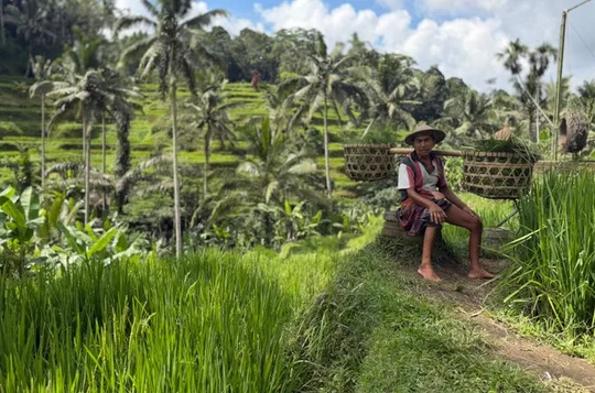 Best Full Day Of Ubud Private Guided Tour