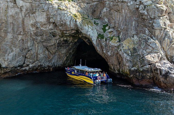Maria Island Cruise & Walk Day Tour with Lunch (from Hobart)