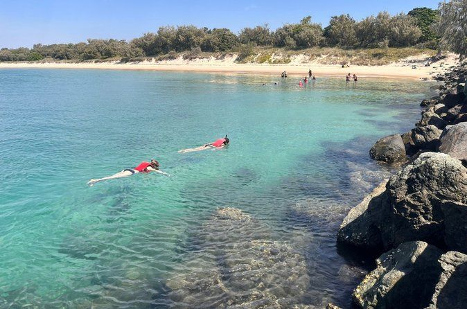 Gold Coast Kayaking & Snorkelling Tour (2.5 Hours)