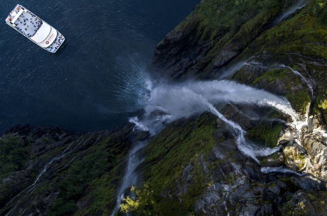 Milford Sound Cruise: Stunning Views & Optional Picnic or Buffet