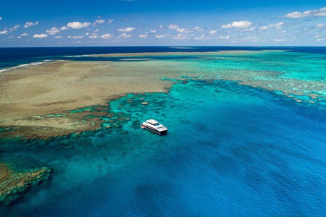 Calypso Outer Great Barrier Reef Cruise from Port Douglas