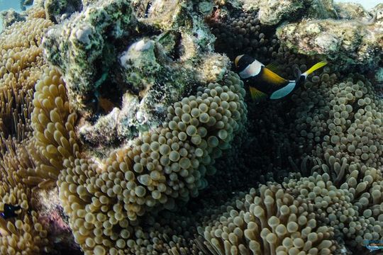 Vancouver City Sightseeing Tour: Granville Island & Stanley Park