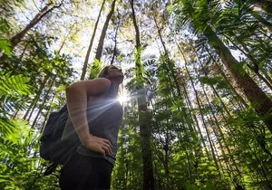 Mount Batur Sunrise Hike with Breakfast