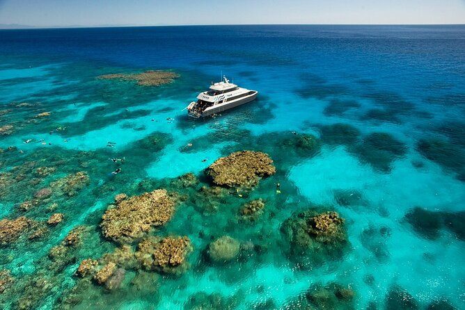 Premium Half-Day Outer Reef Snokel Tour