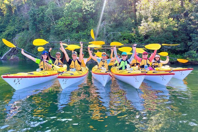 Sydney's Middle Harbour Sea Kayaking Eco Tour (Fully Guided)