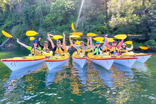 Sydney's Middle Harbour Sea Kayaking Eco Tour (Fully Guided)
