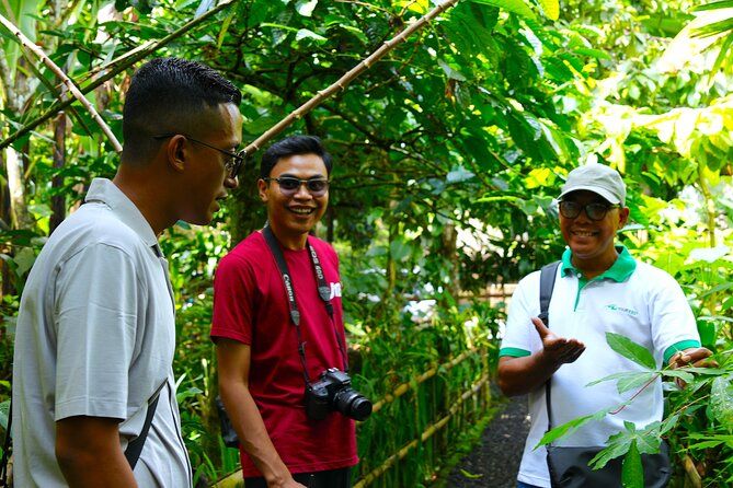 Highlight of Bali Tour