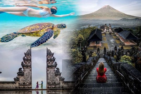 Bali Blue Lagoon Snorkeling - Lunch and Transport All Inclusive