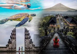 Bali Blue Lagoon Snorkeling - Lunch and Transport All Inclusive