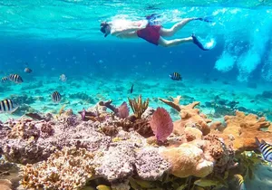 Pearl Island Bahamas Snorkeling Experience and Lunch