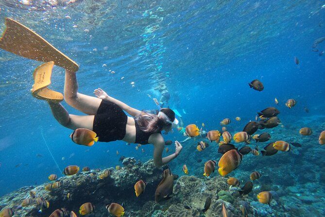 Snorkeling Day Trip To Lembongan and Penida