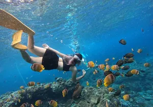 Snorkeling Day Trip To Lembongan and Penida