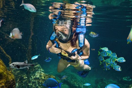 Xel-Ha Tickets with Transportation included